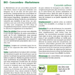 Kit De Culture - Bio - Concombre - Marketmore - 20 Graines - Cucumis Sativus 9 Kit De Culture - Bio - Concombre - Marketmore - 20 Graines - Cucumis Sativus -Promos Jardesia Magasin 640641696a9b18.60145631