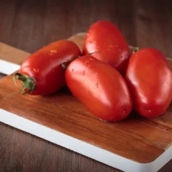 Kit De Culture - Bio - Tomate - San Marzano - 15 Graines - Solanum Lycopersicum -Promos Jardesia Magasin 6406416b4f7255.16851216