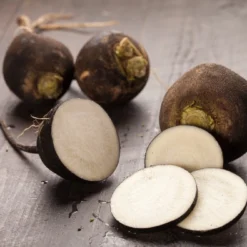 Kit De Culture - Bio - Radis - Noir - 100 Graines - Raphanus Sativus 11 Kit De Culture - Bio - Radis - Noir - 100 Graines - Raphanus Sativus -Promos Jardesia Magasin 64064173d81689.02005216