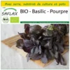 Kit De Culture - Bio - Basilic - Pourpre - 400 Graines - Ocimum Basilicum
