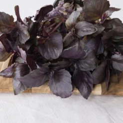 Kit De Culture - Bio - Basilic - Pourpre - 400 Graines - Ocimum Basilicum 11 Kit De Culture - Bio - Basilic - Pourpre - 400 Graines - Ocimum Basilicum -Promos Jardesia Magasin 6406417786e992.51293442