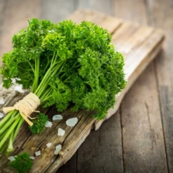 Kit De Culture - Bio - Persil Frisé - 800 Graines - Petroselinum Crispum -Promos Jardesia Magasin 640641ae9189a2.76545135