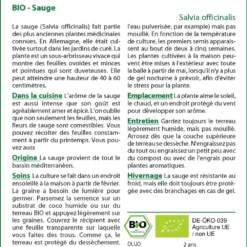 Kit De Culture - Bio - Sauge - 60 Graines - Salvia Officinalis 9 Kit De Culture - Bio - Sauge - 60 Graines - Salvia Officinalis -Promos Jardesia Magasin 640641bf633633.78306731