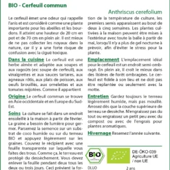 Kit De Culture - Bio - Cerfeuil Commun - 800 Graines - Anthriscus Cerefolium 9 Kit De Culture - Bio - Cerfeuil Commun - 800 Graines - Anthriscus Cerefolium -Promos Jardesia Magasin 640641c8a98f11.52285899