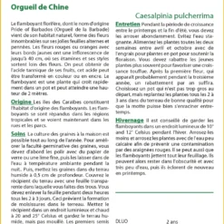 Kit De Culture - Orgueil De Chine - 10 Graines - Caesalpinia Pulcherrima 9 Kit De Culture - Orgueil De Chine - 10 Graines - Caesalpinia Pulcherrima -Promos Jardesia Magasin 640641f136dc53.00647808
