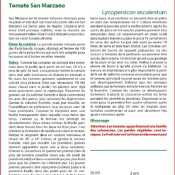 Kit De Culture - Tomate San Marzano - 10 Graines - Lycopersicon Esculentum -Promos Jardesia Magasin 640641fa3b6bc7.11460226