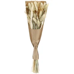 Bouquet Fleurs Séchées Naturelles Aurora (lot De 2) -Promos Jardesia Magasin 6409defed9aa62.36742914