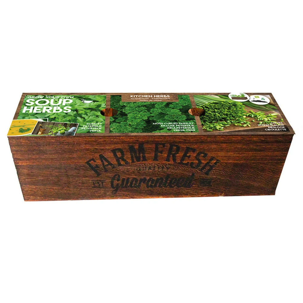 Kit Prêt à Pousser - Herbes à Soupes 1 Kit Prêt à Pousser - Herbes à Soupes