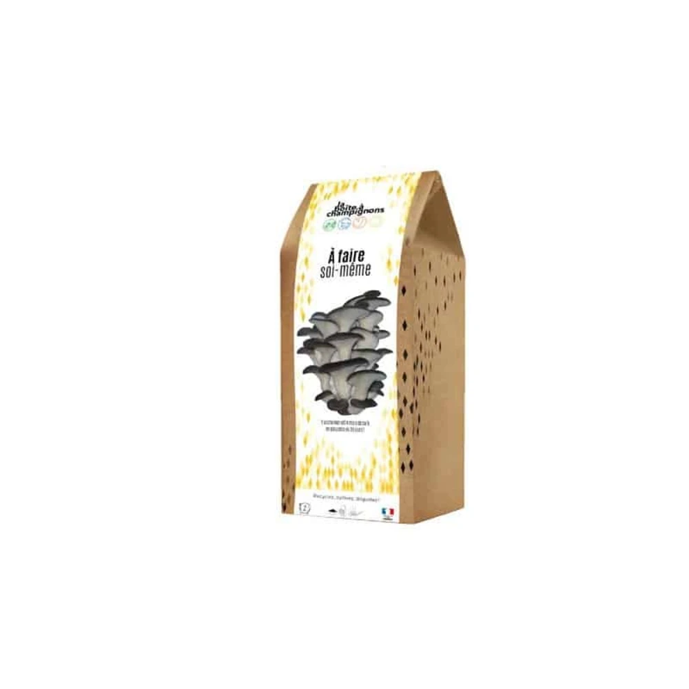 Kit Champignons Boite à Faire Soi-même 1 Kit Champignons Boite à Faire Soi-même