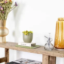 Dionaea Muscipula – Plante Carnivore – Peu D'entretien – ⌀12 Cm – ↕10-15 Cm -Promos Jardesia Magasin 640b20a5e78e48.00125916