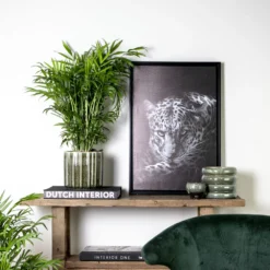 Chamaedorea Elegans - Palmier Nain Mexicain - Purificateur D'air – ⌀17 Cm - ↕50-60 Cm 7 Chamaedorea Elegans - Palmier Nain Mexicain - Purificateur D'air – ⌀17 Cm - ↕50-60 Cm -Promos Jardesia Magasin 640b21045e72a5.33117055