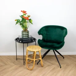 Anthurium 'aristo' Orange - Plante Flamingo - Entretien Facile - ⌀14 Cm - ↕45-55 Cm 8 Anthurium 'aristo' Orange - Plante Flamingo - Entretien Facile - ⌀14 Cm - ↕45-55 Cm -Promos Jardesia Magasin 640b783c3548d8.40389046