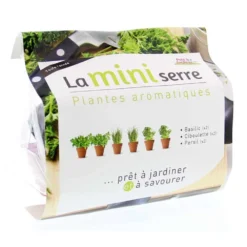 Mini Serre Herbes Aromatiques