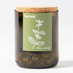 Kit Bouteille Prêt à Pousser Menthe