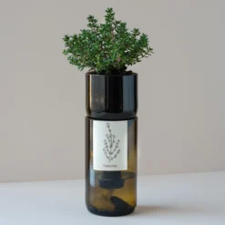 Kit Irrigation Basilic Prêt à Pousser -Promos Jardesia Magasin 6420e04c2b59d5.05242091