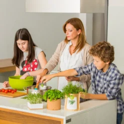 Sac Papier Prêt à Cultiver Calendula -Promos Jardesia Magasin 6420e04ce65762.91235116