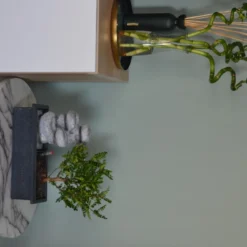 Set Bonsaï Et Cascade-pierres - Support L.30cm- H.25-30cm 8 Set Bonsaï Et Cascade-pierres - Support L.30cm- H.25-30cm -Promos Jardesia Magasin 6422e176c936d7.62659362