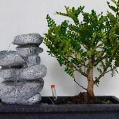 Set Bonsaï Et Cascade-pierres - Support L.30cm- H.25-30cm 11 Set Bonsaï Et Cascade-pierres - Support L.30cm- H.25-30cm -Promos Jardesia Magasin 6422e176e22588.29286272