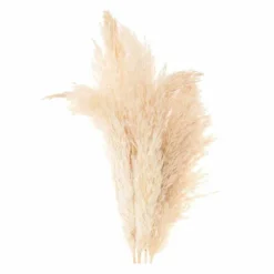 6 Herbes De Palma Séchées Naturelles 5 6 Herbes De Palma Séchées Naturelles -Promos Jardesia Magasin 64258467cf48a9.13929074