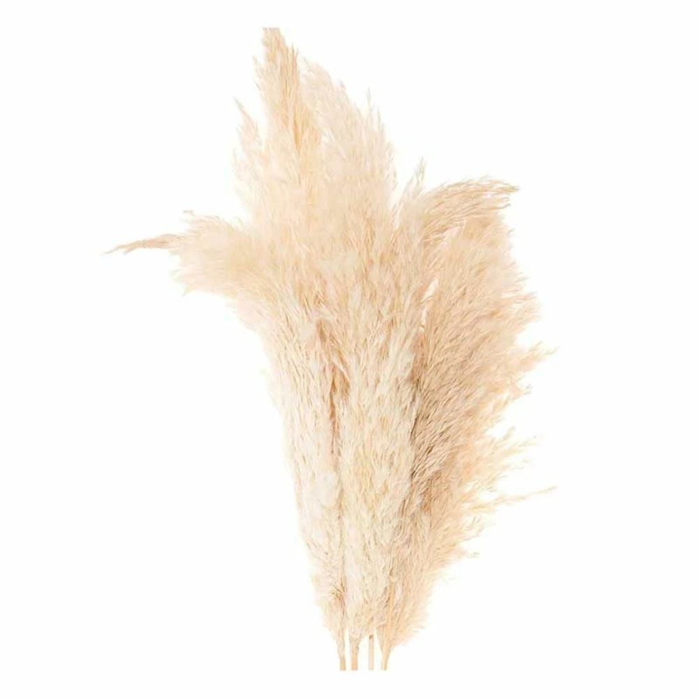 6 Herbes De Palma Séchées Naturelles 3 6 Herbes De Palma Séchées Naturelles – Image 3