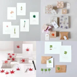 6 Sets De Feuilles/ Fleurs Séchées Et Pressées 5 6 Sets De Feuilles/ Fleurs Séchées Et Pressées -Promos Jardesia Magasin 6425846d3b8cc9.86737615