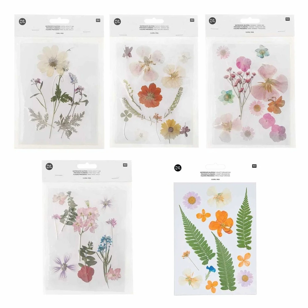 5 Sets De Fleurs Séchées Et Pressées Multicolores 1 5 Sets De Fleurs Séchées Et Pressées Multicolores