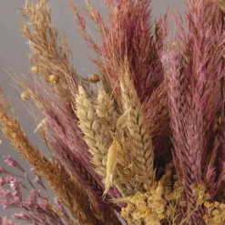 Assortiment De Fleurs Séchées -Promos Jardesia Magasin 6425847a202a54.72738169