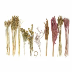 Assortiment De Fleurs Séchées -Promos Jardesia Magasin 6425847a28e7c1.91892144