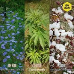 Coffret De Semences Textile Tissus Etoffe Et Fil 13 Coffret De Semences Textile Tissus Etoffe Et Fil -Promos Jardesia Magasin 642d66ace6f211.93606402