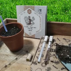 Coffret De Semences Textile Tissus Etoffe Et Fil 12 Coffret De Semences Textile Tissus Etoffe Et Fil -Promos Jardesia Magasin 642d66acef9529.41293408