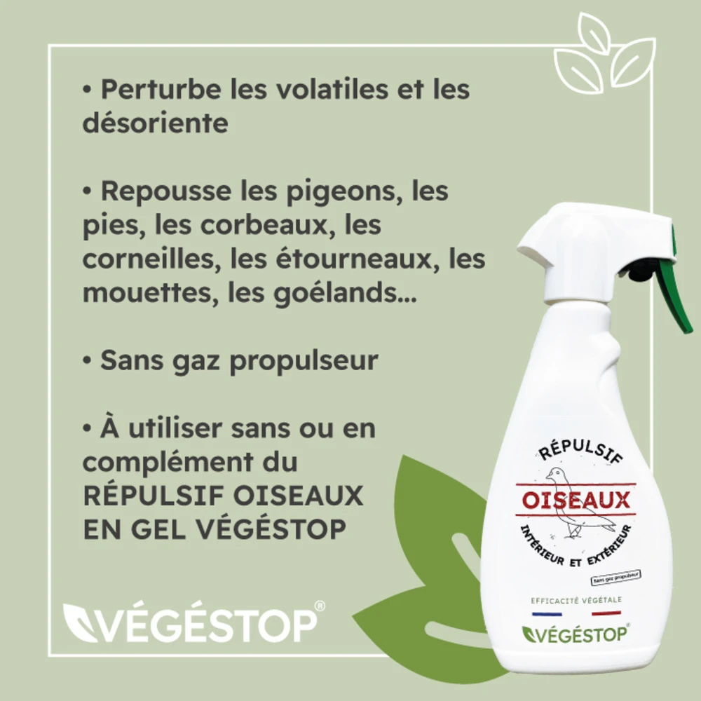 Répulsif Oiseaux - Liquide - 500 Ml 3 Répulsif Oiseaux - Liquide - 500 Ml – Image 3