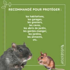 Répulsif Rats, Souris & Mulots - 500 Ml -Promos Jardesia Magasin 6440382b6488e6.81824932