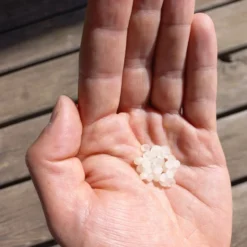 Nématodes Mouches Des Terreaux En Micro-capsules Par 200 6 Nématodes Mouches Des Terreaux En Micro-capsules Par 200 -Promos Jardesia Magasin 644181f5c5e9a8.52300689