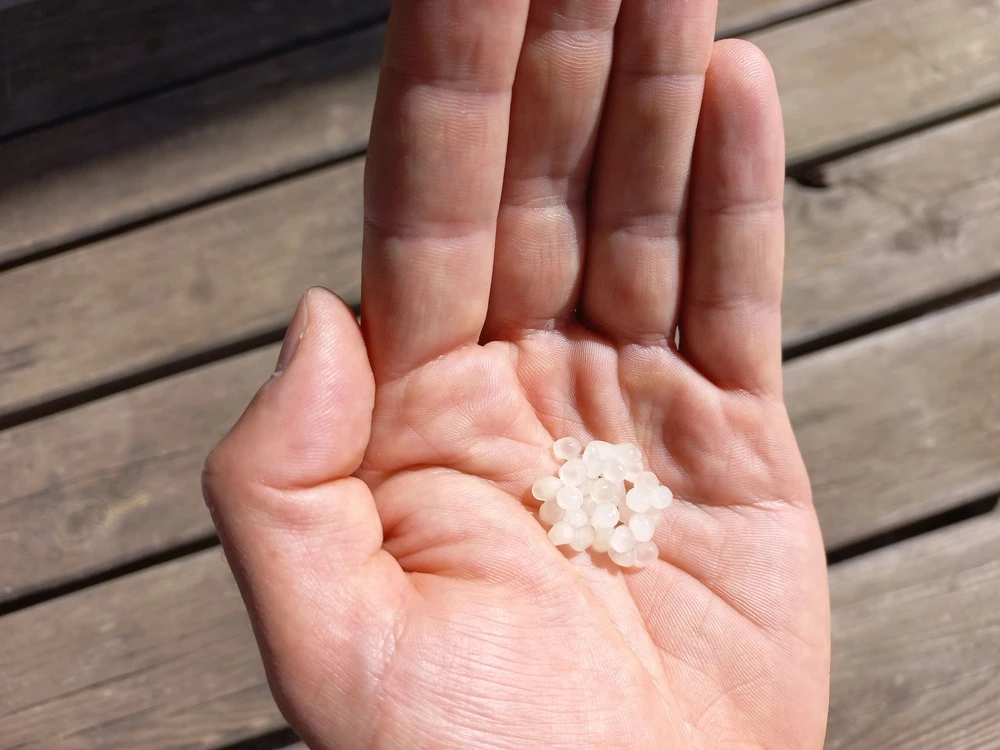 Nématodes Mouches Des Terreaux En Micro-capsules Par 200 3 Nématodes Mouches Des Terreaux En Micro-capsules Par 200 – Image 3