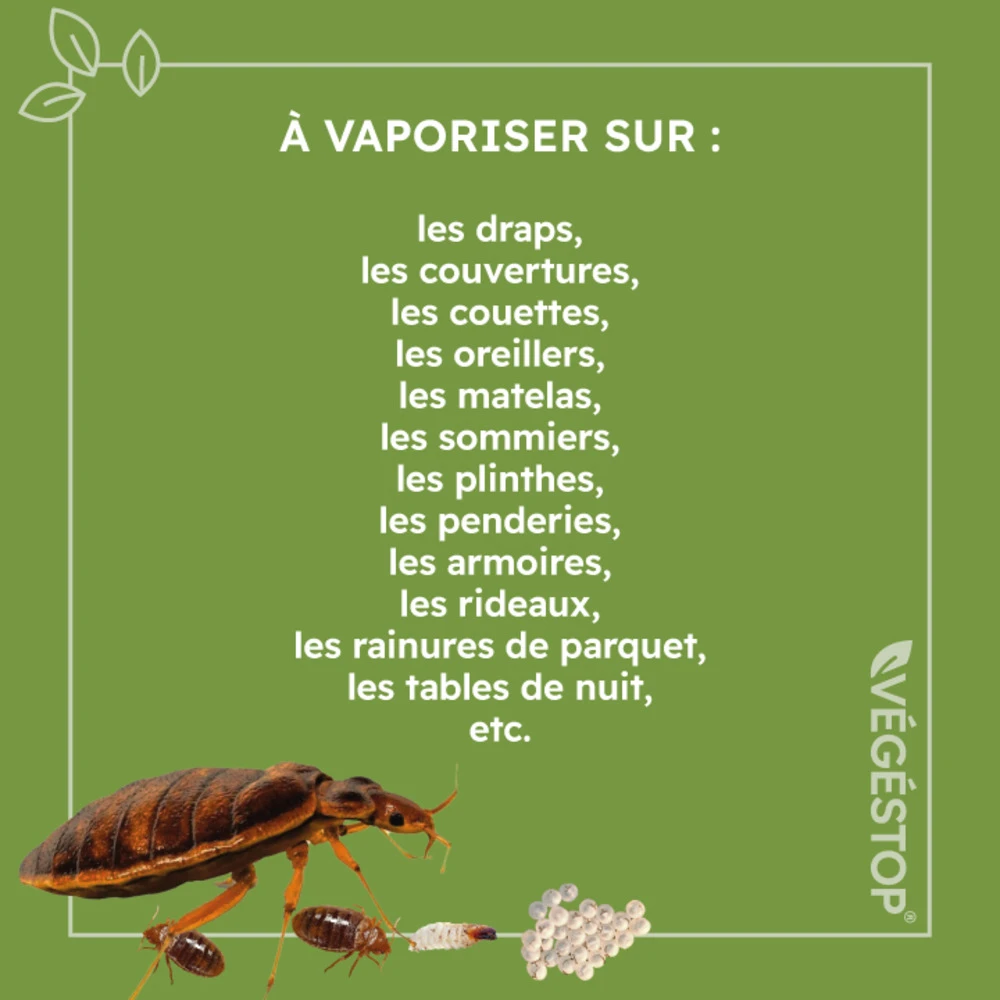 Insecticide Anti Punaises De Lits - Preventif - 500 Ml 4 Insecticide Anti Punaises De Lits - Preventif - 500 Ml – Image 4