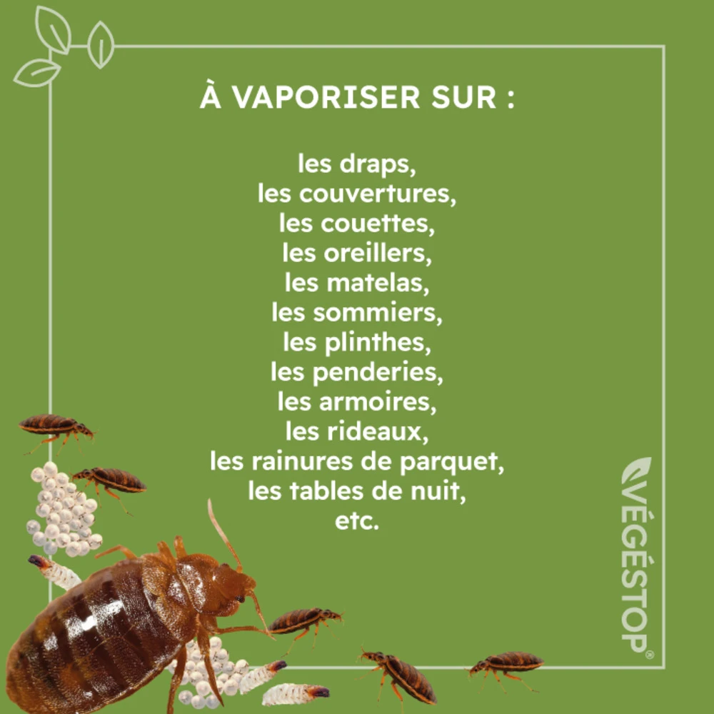 Insecticide Anti Punaises De Lits - Curatif - 500 Ml 4 Insecticide Anti Punaises De Lits - Curatif - 500 Ml – Image 4