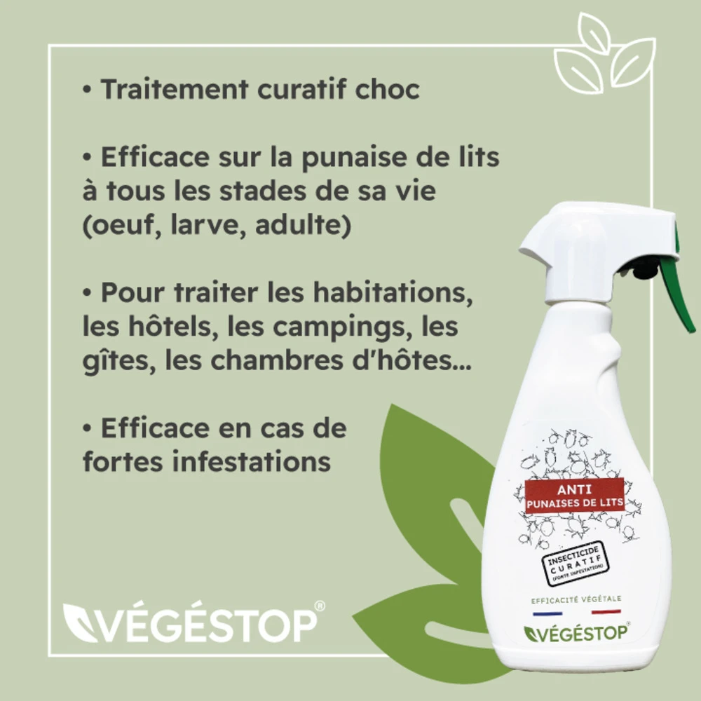 Insecticide Anti Punaises De Lits - Curatif - 500 Ml 3 Insecticide Anti Punaises De Lits - Curatif - 500 Ml – Image 3
