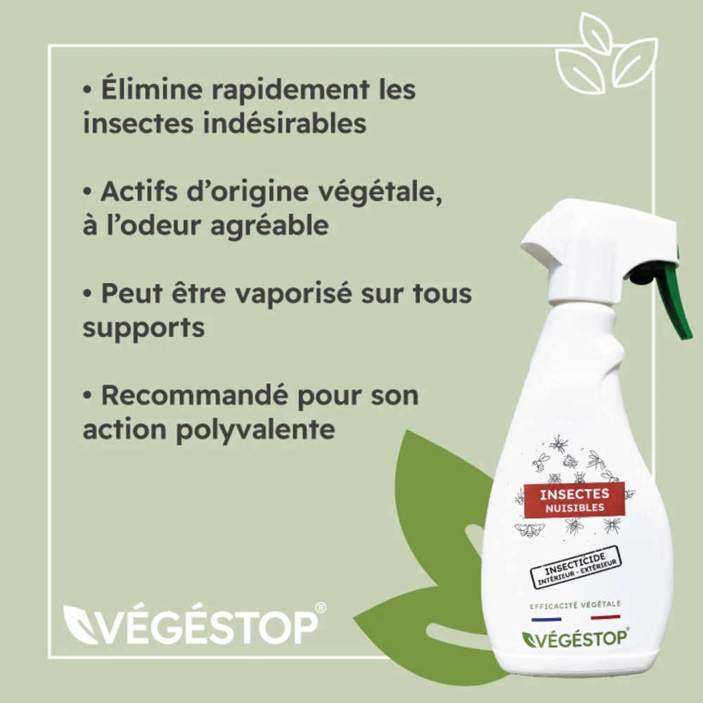 Insecticide Insectes Nuisibles - 500 Ml 3 Insecticide Insectes Nuisibles - 500 Ml – Image 3