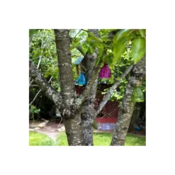 Piège à Guêpes En Verre 9.5 Cm (lot De 2) -Promos Jardesia Magasin 644be79cf2ff80.87606186