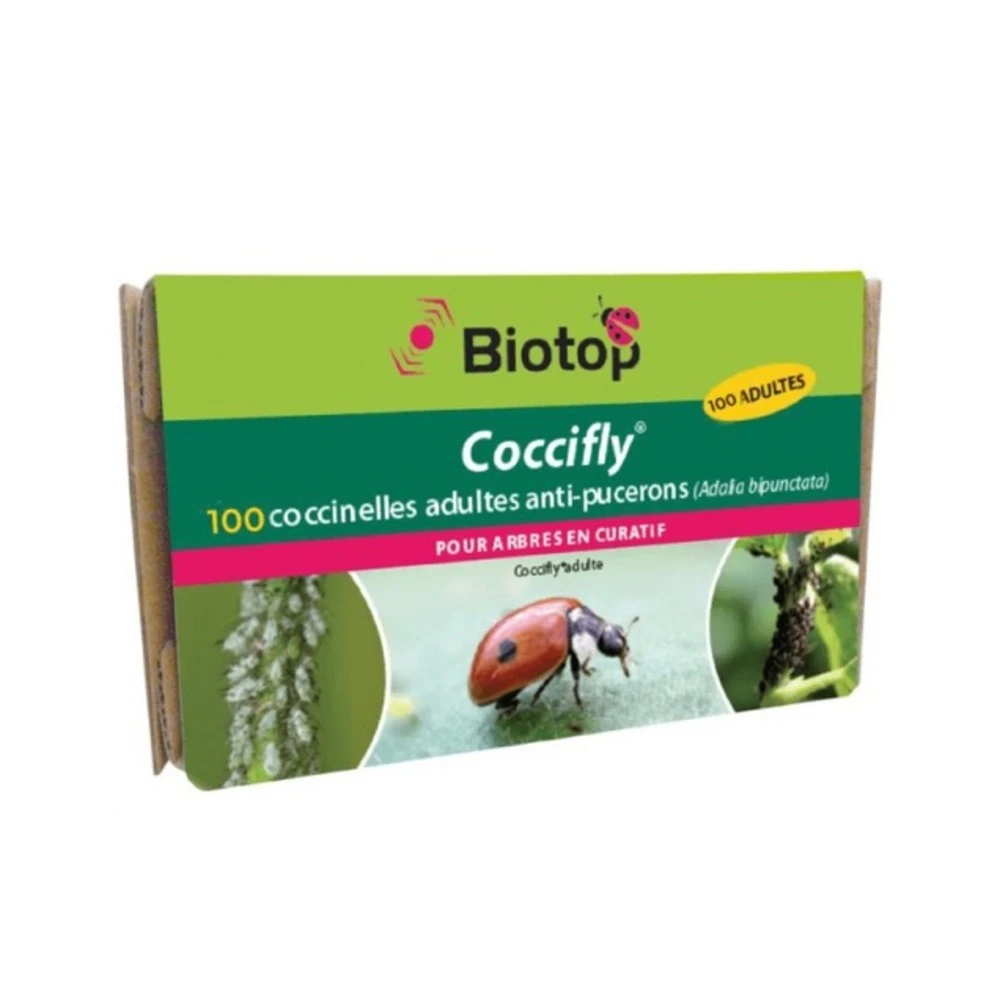 100 Coccinelles Adultes Anti-pucerons - Coccifly 1 100 Coccinelles Adultes Anti-pucerons - Coccifly