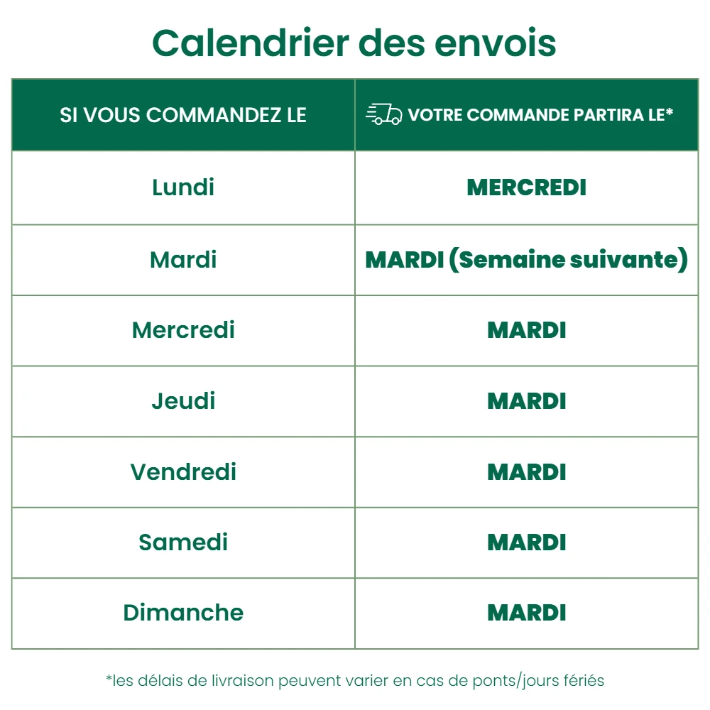 100 Coccinelles Adultes Anti-pucerons - Coccifly 2 100 Coccinelles Adultes Anti-pucerons - Coccifly – Image 2