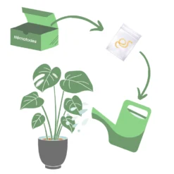 Nématodes Spécifiques Contre Les Otiorhynques 5 Millions -Promos Jardesia Magasin 644c0daa0ef981.11544754