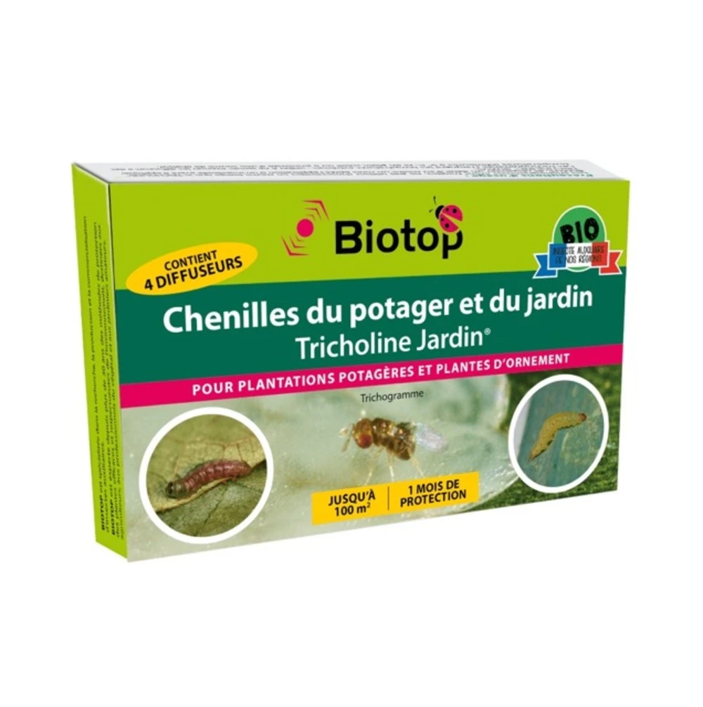 Tricholine Jardins Chenilles Du Potager 1 Tricholine Jardins Chenilles Du Potager