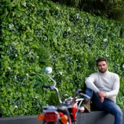 Mur Végétal Artificiel Extérieur Et Intérieur Prêt à Poser 1m X 1m Liseron 9 Mur Végétal Artificiel Extérieur Et Intérieur Prêt à Poser 1m X 1m Liseron -Promos Jardesia Magasin 6450ff1e91eb44.33870184