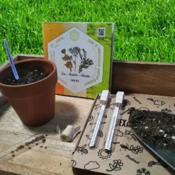 Coffret De Semences Médicinales Aromatique Apéritifs Régionaux 12 Coffret De Semences Médicinales Aromatique Apéritifs Régionaux -Promos Jardesia Magasin 645a39a7621da9.71396115