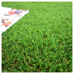 Gazon Synthétique Versailles - 40mm - 1m X 6ml 8 Gazon Synthétique Versailles - 40mm - 1m X 6ml -Promos Jardesia Magasin 645ce1a8f03ee3.68446279