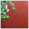 Gazon Synthétique Peps - Couleur Rouge Brique - 20mm - 2m X 4m