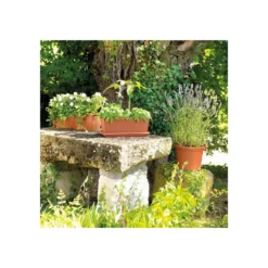 Jardiniere Day R Cotto - Coloris Terre Rouge - 50cm -Promos Jardesia Magasin 645cf55c99edc1.69867466