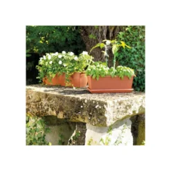 Jardiniere Day R Cotto - Coloris Terre Rouge - 50cm -Promos Jardesia Magasin 645cf55caebad8.93526619