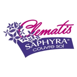 Clématite Saphyra® Violetta "m32-10'/godet - 5/10 Cm 11 Clématite Saphyra® Violetta "m32-10'/godet - 5/10 Cm -Promos Jardesia Magasin 645d8585385793.88311540